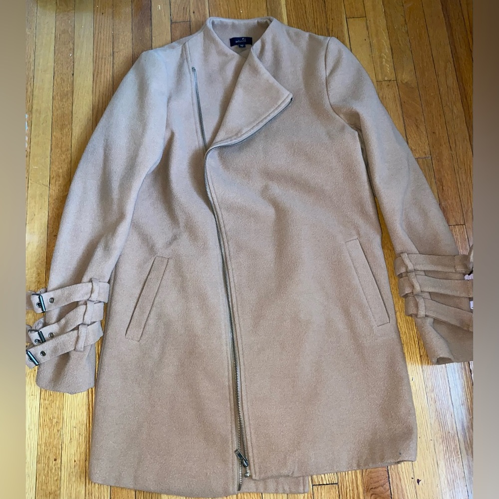 Chestnut coat